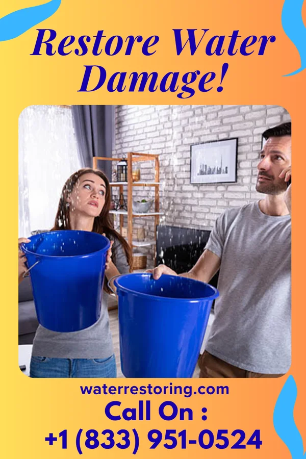 water restoration Total Sewage Cleanup Solutions Ruby