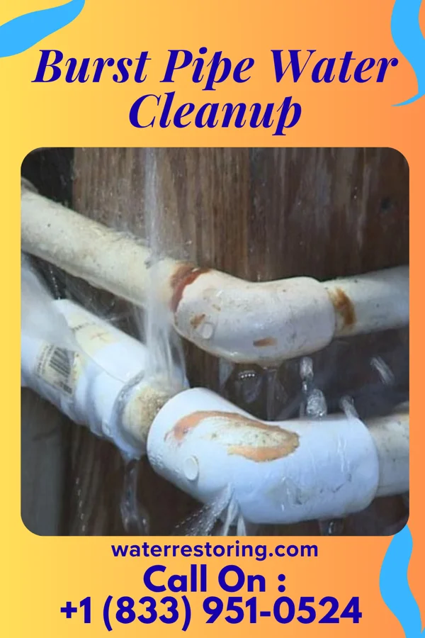Burst Pipe Water Cleanup in Ruby, MI