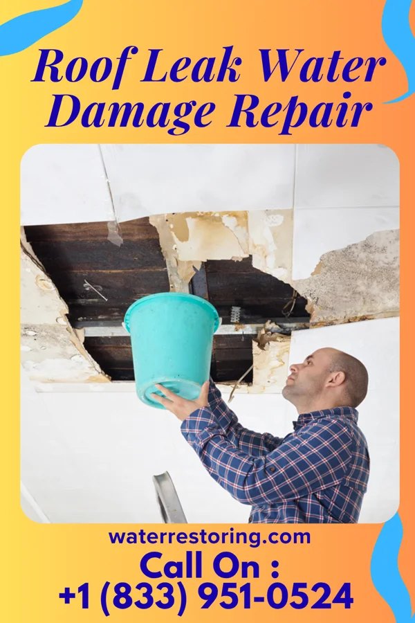 Roof Leak Water Damage Repair in Ruby, MI