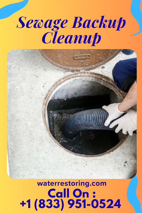 Sewage Backup Cleanup in Ruby, MI
