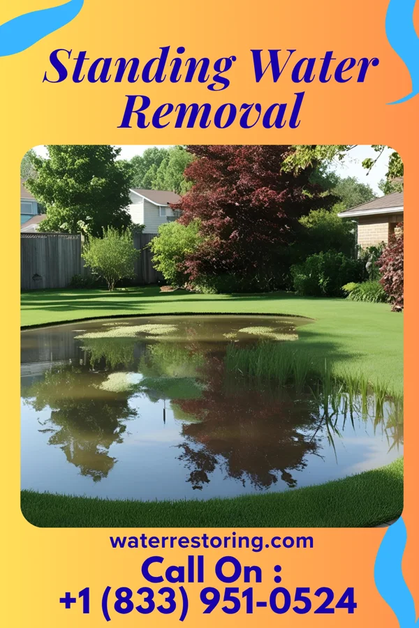 Standing Water Removal in Ruby, MI